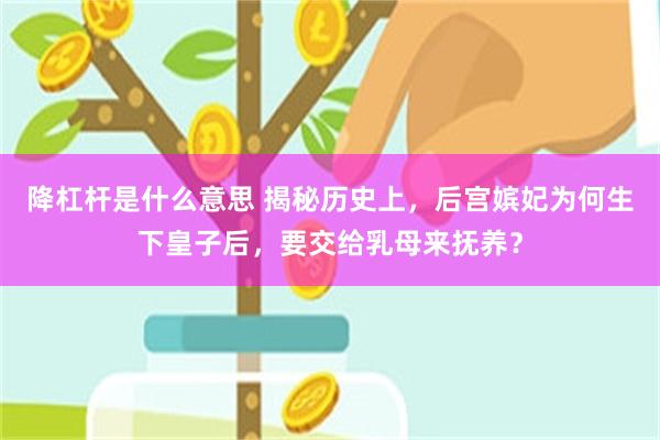 降杠杆是什么意思 揭秘历史上，后宫嫔妃为何生下皇子后，要交给乳母来抚养？