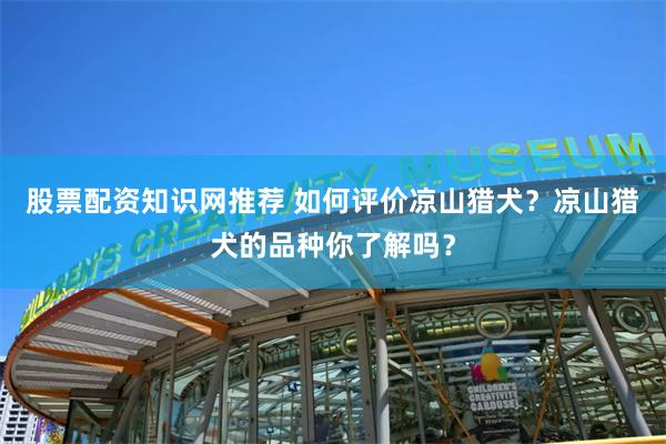 股票配资知识网推荐 如何评价凉山猎犬？凉山猎犬的品种你了解吗？