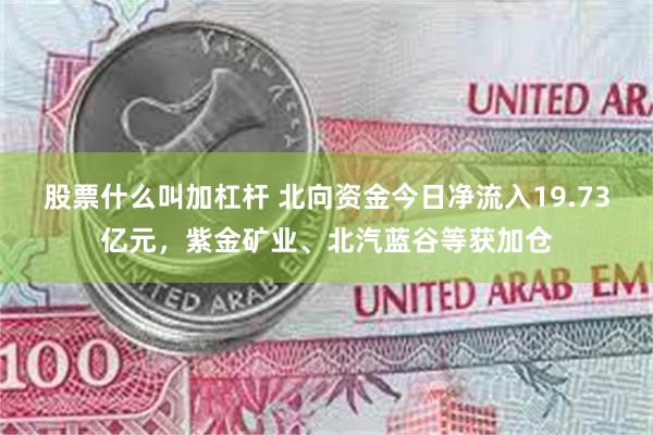 股票什么叫加杠杆 北向资金今日净流入19.73亿元，紫金矿业、北汽蓝谷等获加仓