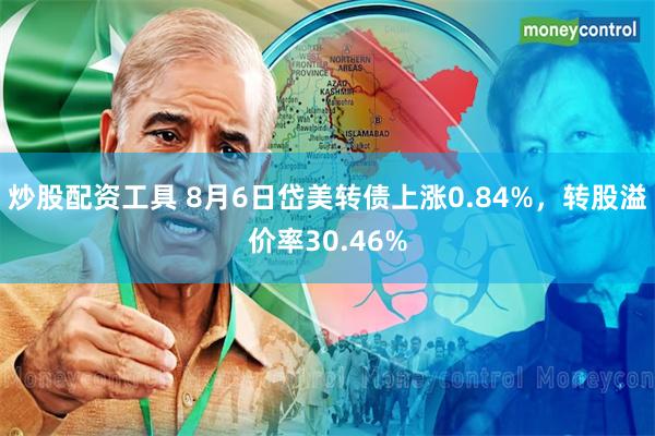 炒股配资工具 8月6日岱美转债上涨0.84%，转股溢价率30.46%