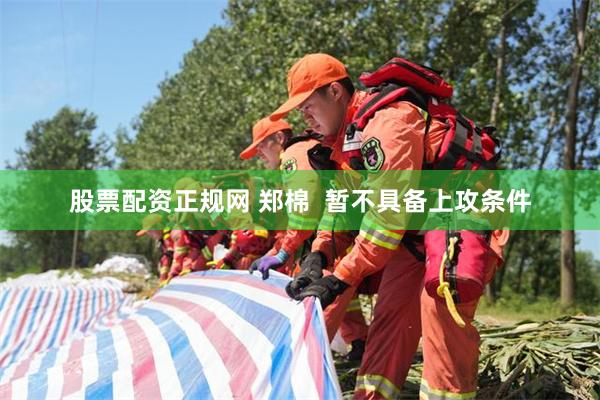 股票配资正规网 郑棉  暂不具备上攻条件