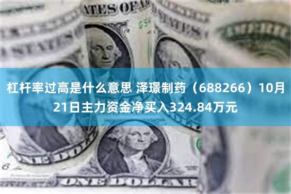 杠杆率过高是什么意思 泽璟制药（688266）10月21日主力资金净买入324.84万元