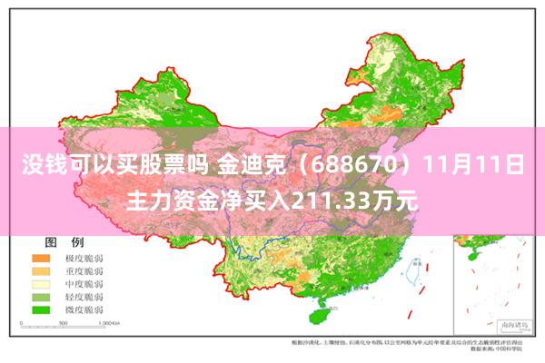 没钱可以买股票吗 金迪克（688670）11月11日主力资金净买入211.33万元