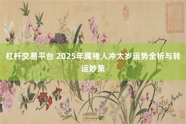 杠杆交易平台 2025年属猪人冲太岁运势全析与转运妙策