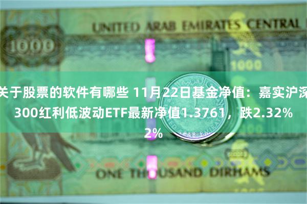 关于股票的软件有哪些 11月22日基金净值：嘉实沪深300红利低波动ETF最新净值1.3761，跌2.32%