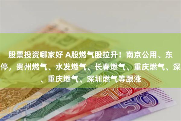 股票投资哪家好 A股燃气股拉升！南京公用、东方环宇双双涨停，贵州燃气、水发燃气、长春燃气、重庆燃气、深圳燃气等跟涨