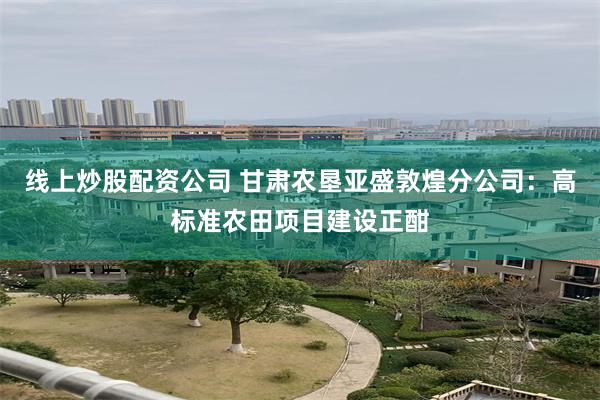 线上炒股配资公司 甘肃农垦亚盛敦煌分公司：高标准农田项目建设正酣