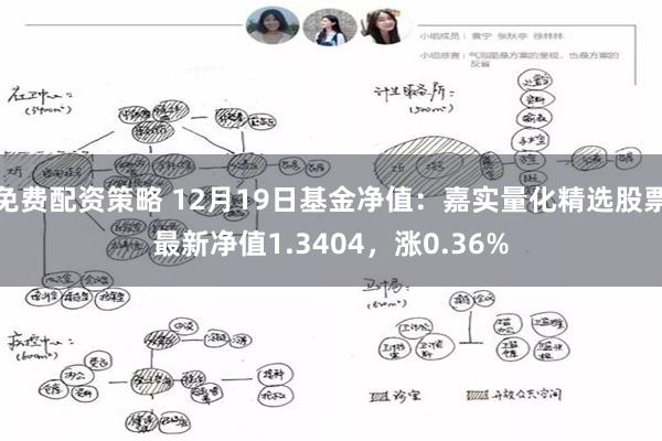 免费配资策略 12月19日基金净值：嘉实量化精选股票最新净值1.3404，涨0.36%