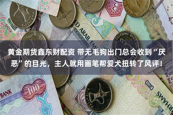 黄金期货鑫东财配资 带无毛狗出门总会收到“厌恶”的目光，主人就用画笔帮爱犬扭转了风评！