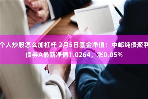 个人炒股怎么加杠杆 2月5日基金净值：中邮纯债聚利债券A最新净值1.0264，涨0.05%