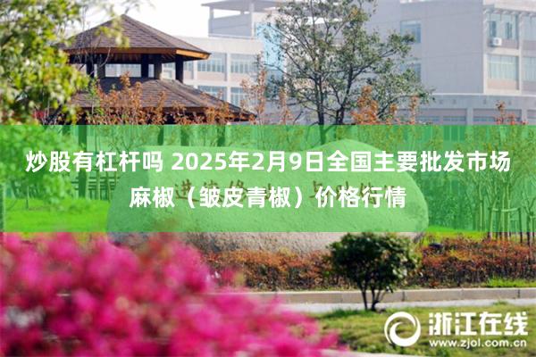 炒股有杠杆吗 2025年2月9日全国主要批发市场麻椒（皱皮青椒）价格行情