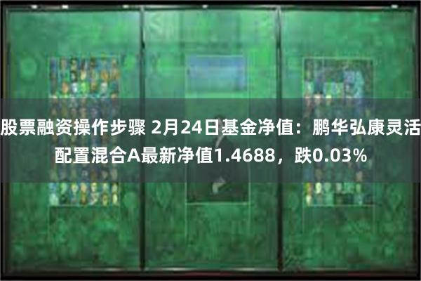 股票融资操作步骤 2月24日基金净值：鹏华弘康灵活配置混合A最新净值1.4688，跌0.03%